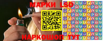 гидропоника Аргун