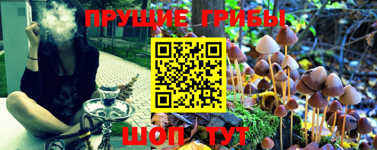 Псилоцибиновые грибы MAGIC MUSHROOMS  Вход с VPN  дарнет шоп  Балахна 