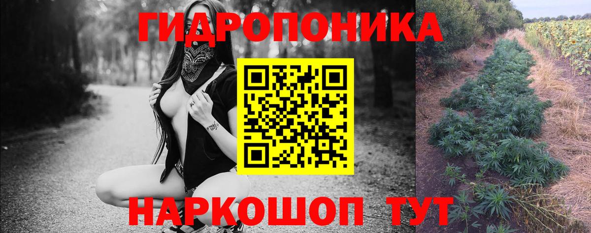Каннабис план Балахна